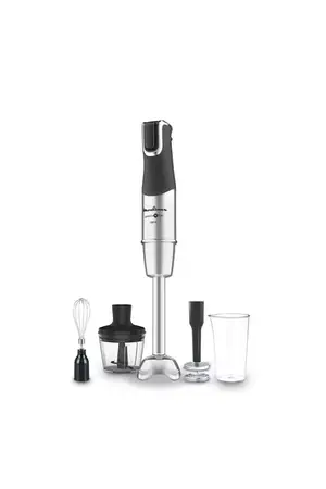 MIXEUR MOULINEX DD95HD10